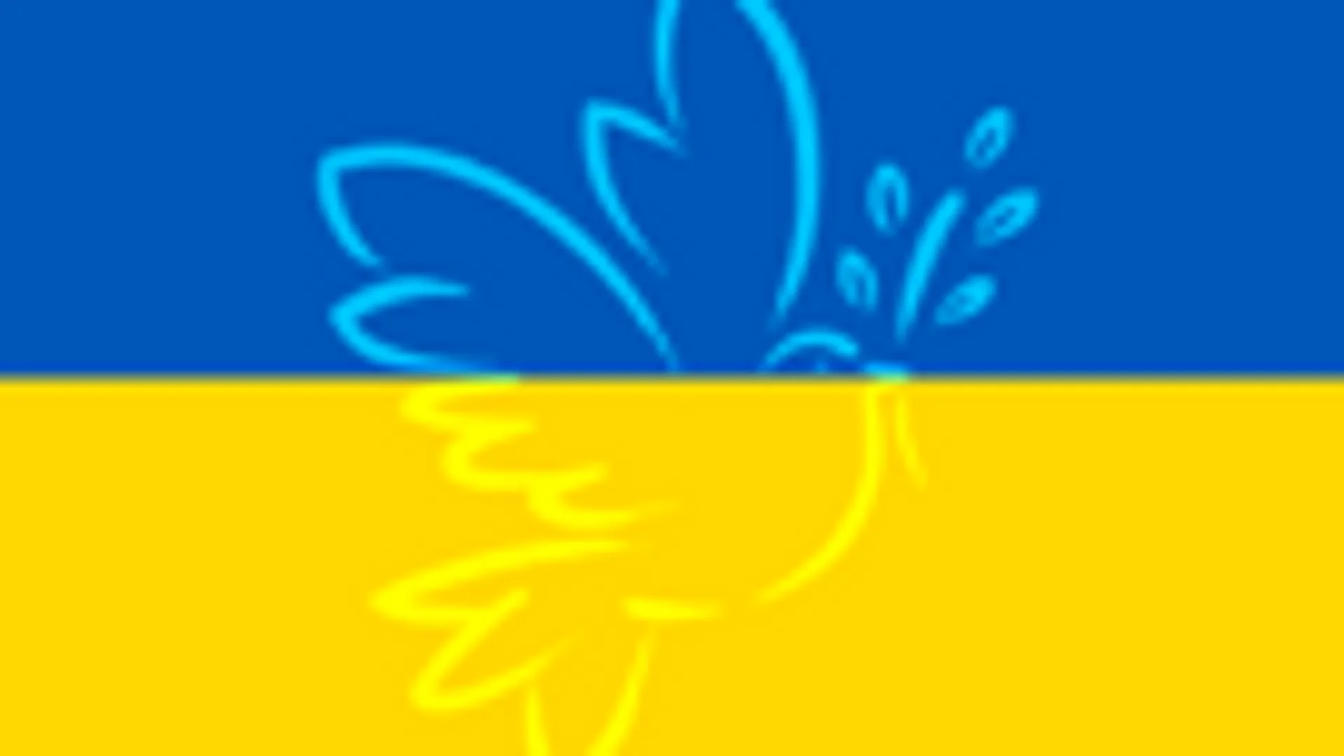 ukrainska flaggan med en fedsduva
