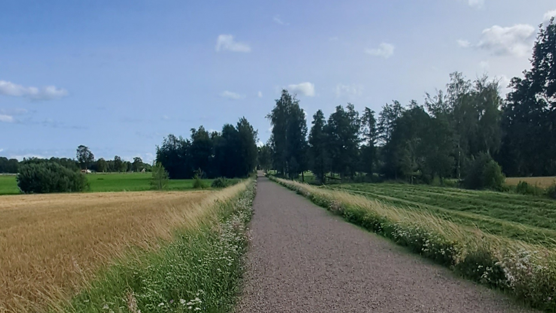 Grusbeläggning på den gamla banvallen, med natur på sidorna.