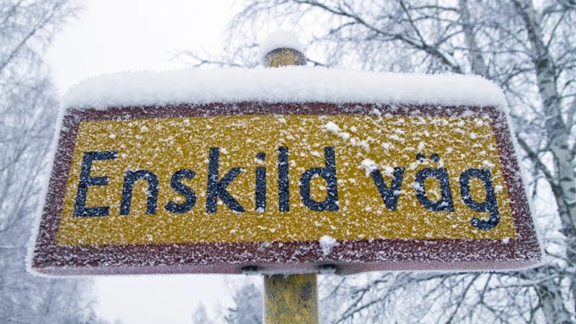 Skylt med texten "Enskild väg" i snöoväder.