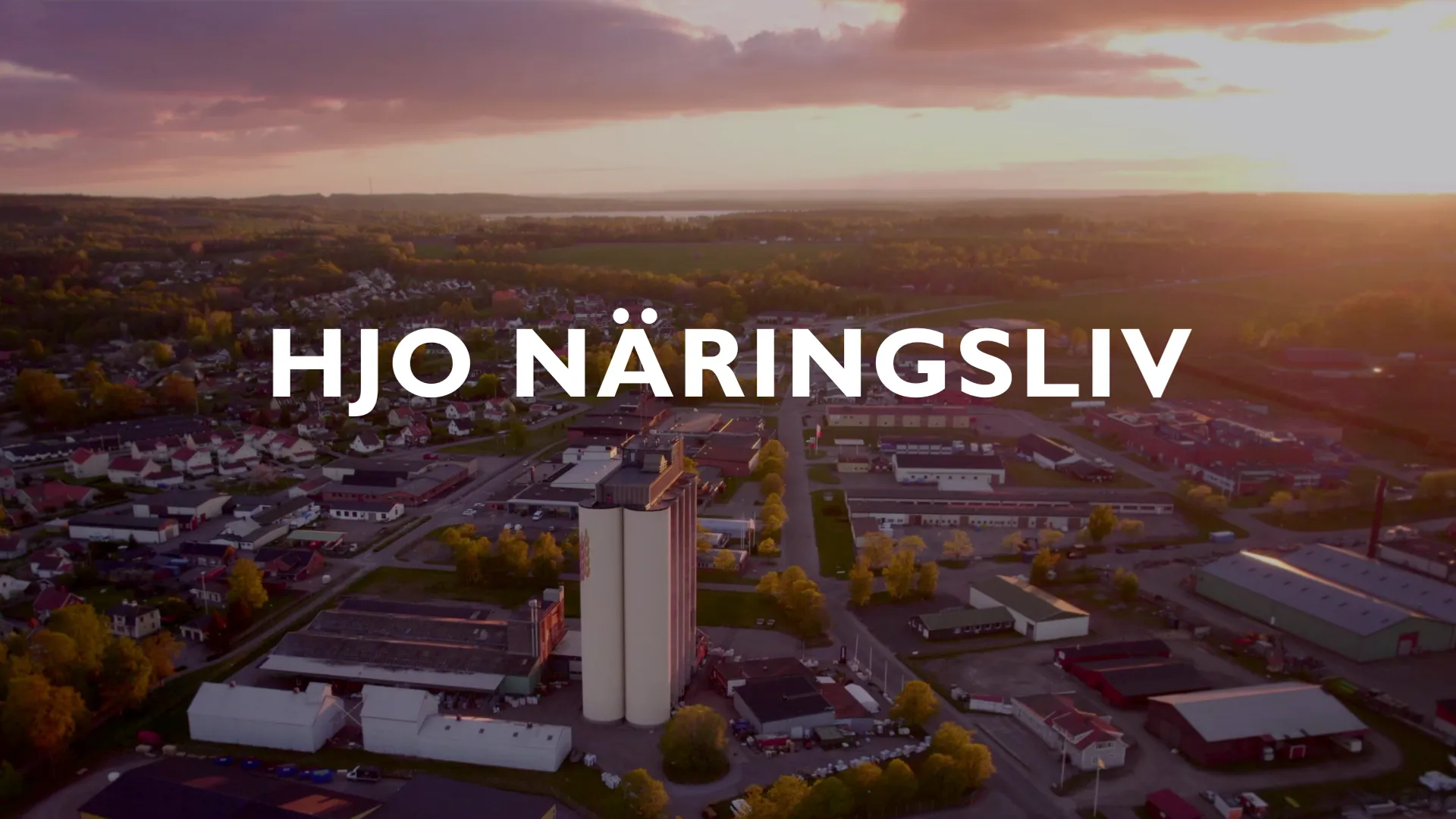 Flygbild över Hjo och texten "Hjo näringsliv"