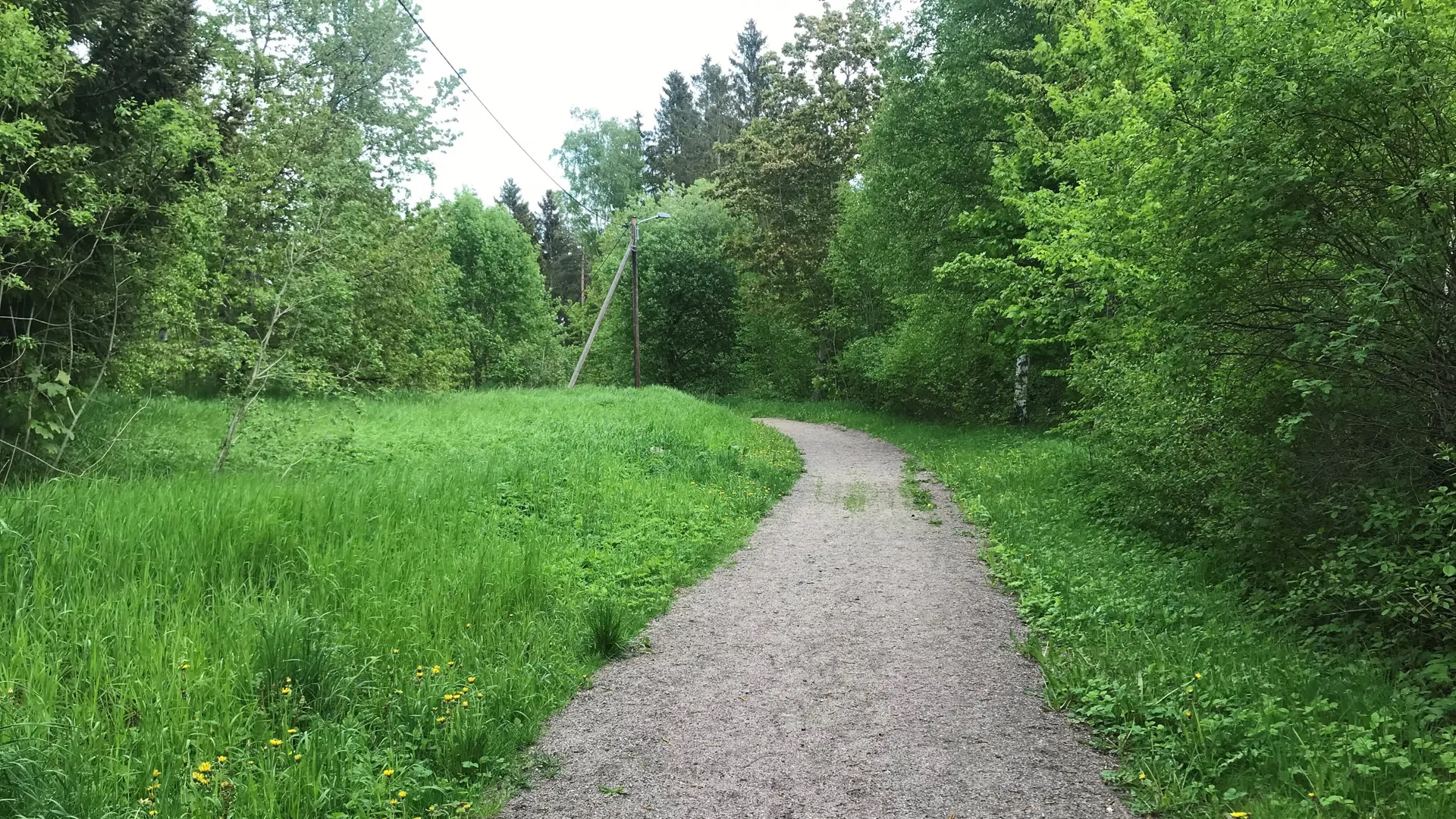 Motionsspåret vid Sanna friluftsområde en grönskande sommardag.