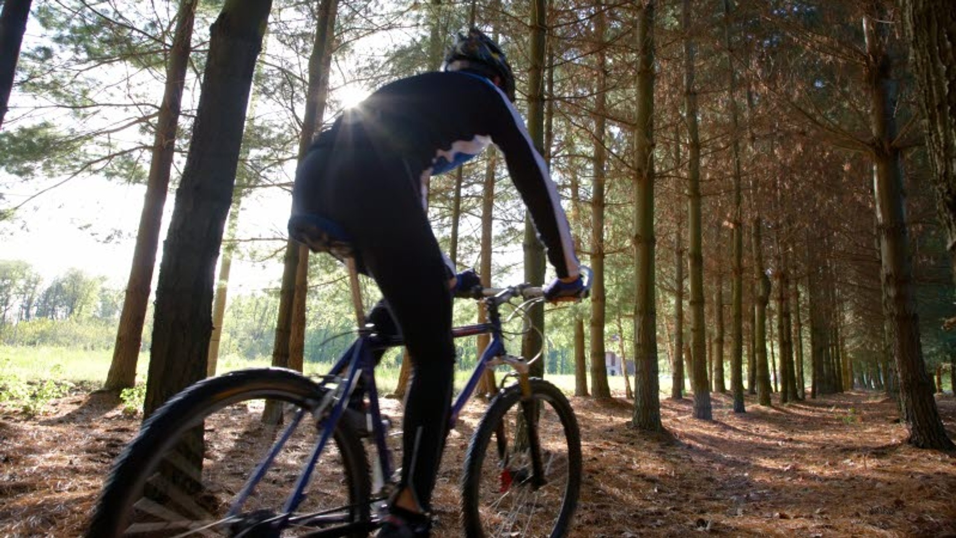En person cyklar mountainbike på en skogsstig.