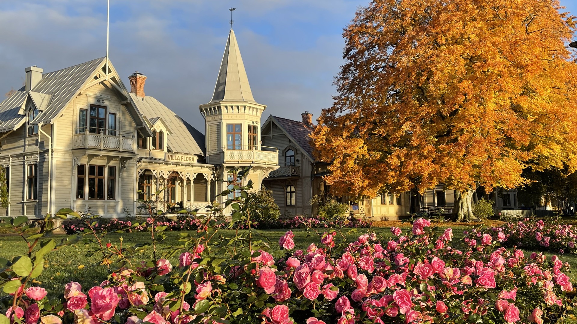 Villa Flora, träd med höstfärger och rosa rosor i stadsparken.