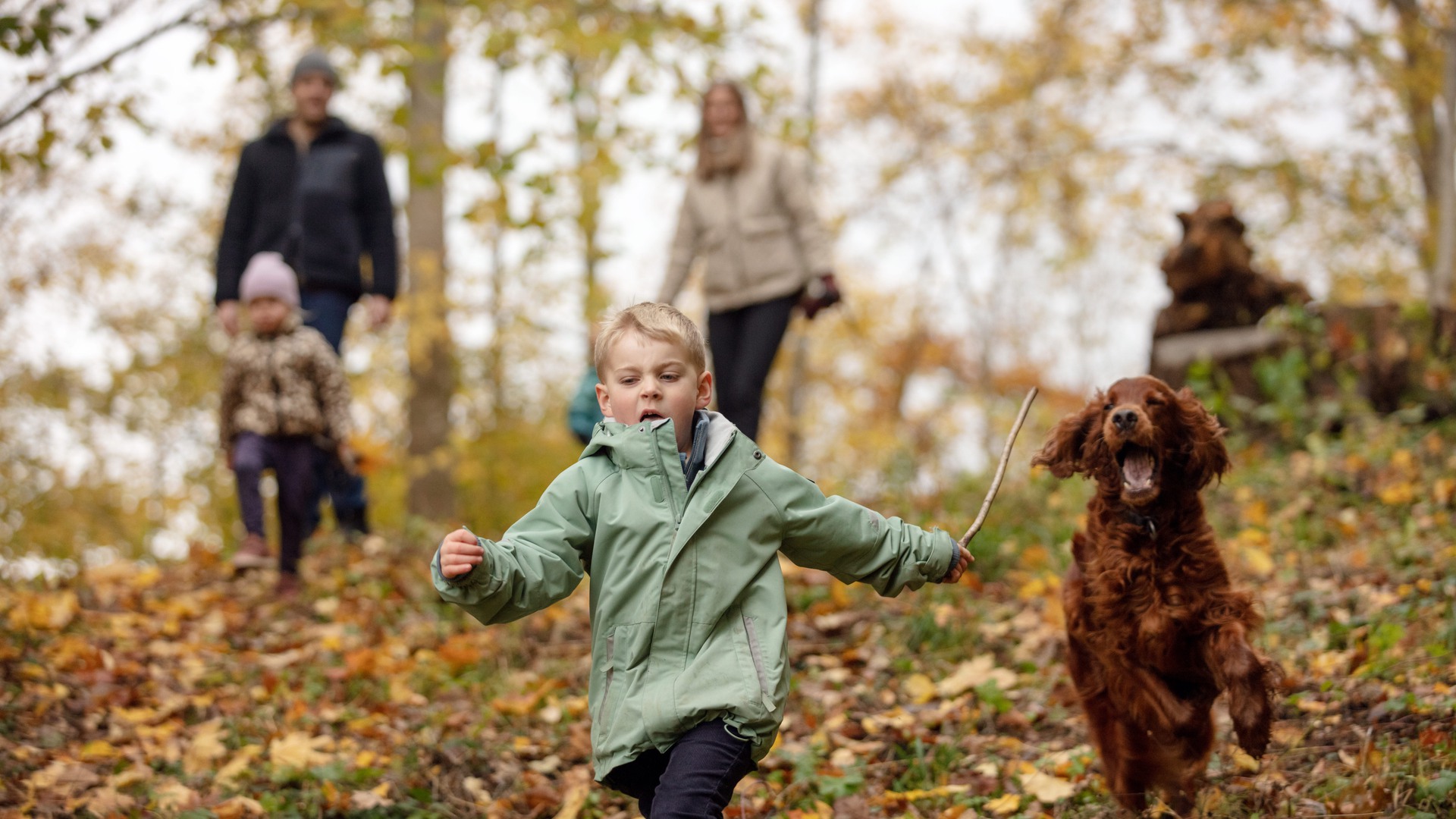 En familj är ute i skogen en höstdag. Längst fram i bild springer en liten kille och en hund.