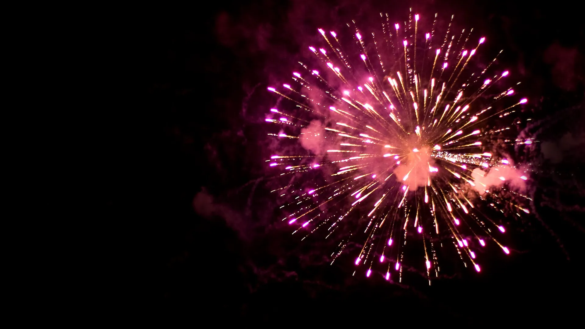 Rosa fyrverkeri på mörk himmel.