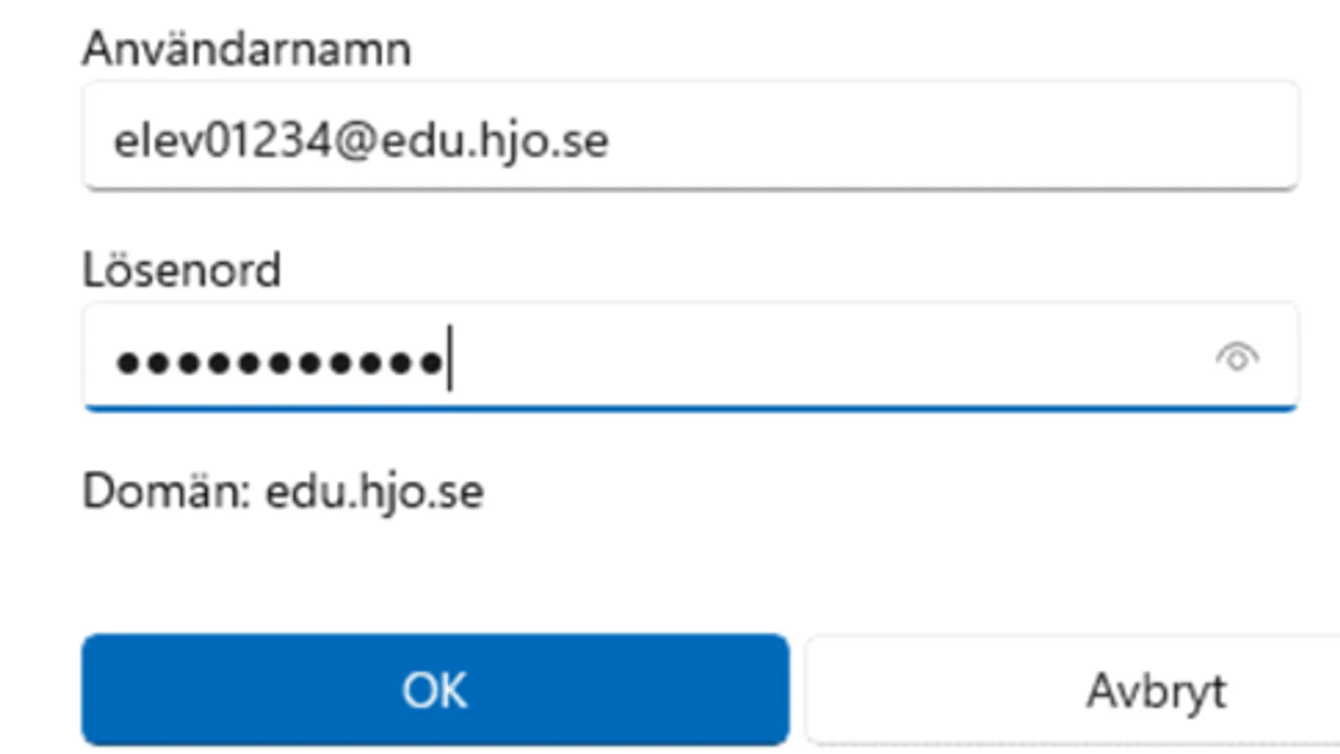 Skriv in din skolmejl och ditt l&ouml;senord