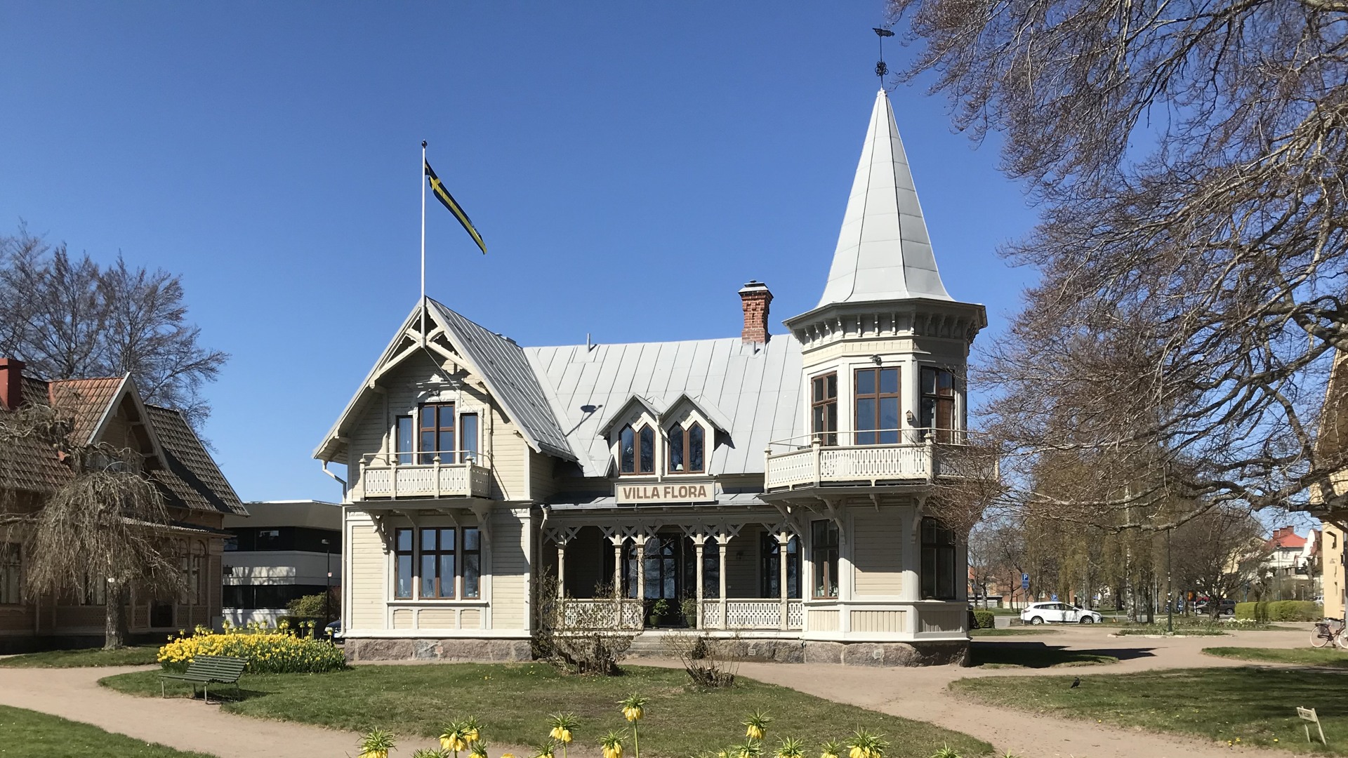 En rabatt med gula tulpaner i stadsparken. I bakgrunden syns Villa Flora. 